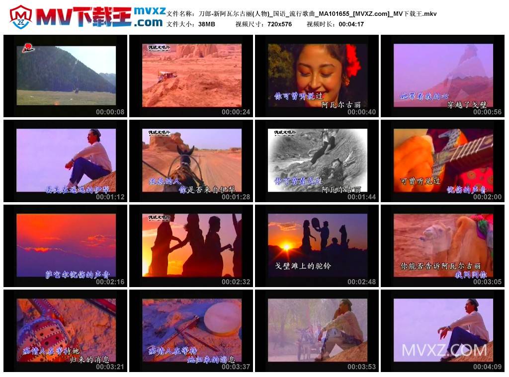 刀郎-新阿瓦尔古丽(人物)_国语_流行歌曲_MA101655